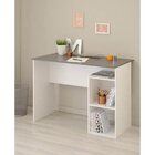 Письменный стол №100